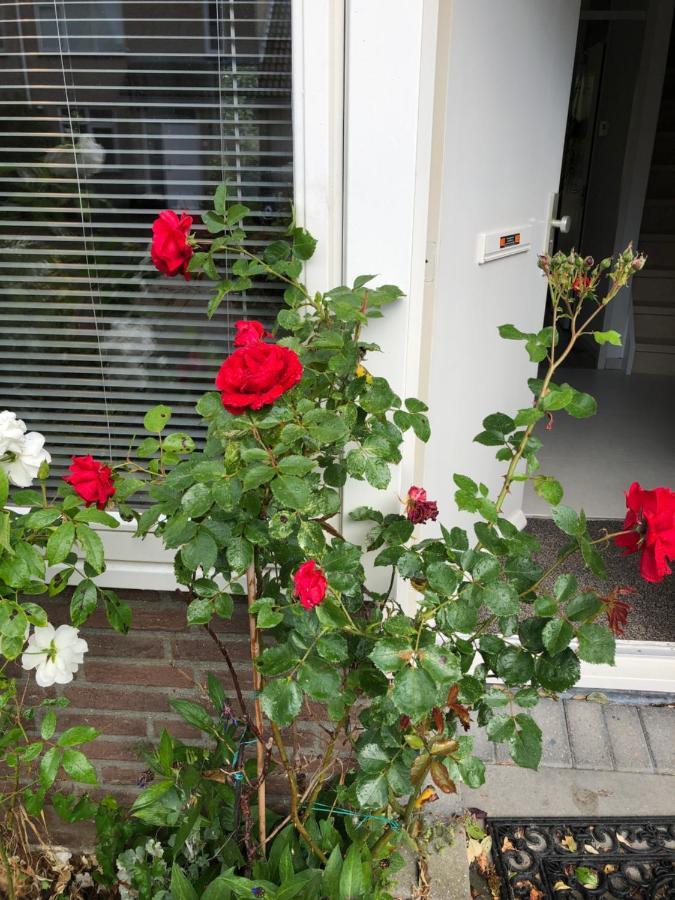 Vakantiewoning In Middelburg Zeeland Luaran gambar